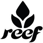 reef