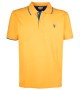 Yellow-orange/blue